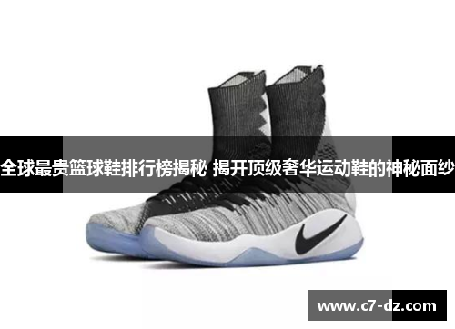 全球最贵篮球鞋排行榜揭秘 揭开顶级奢华运动鞋的神秘面纱