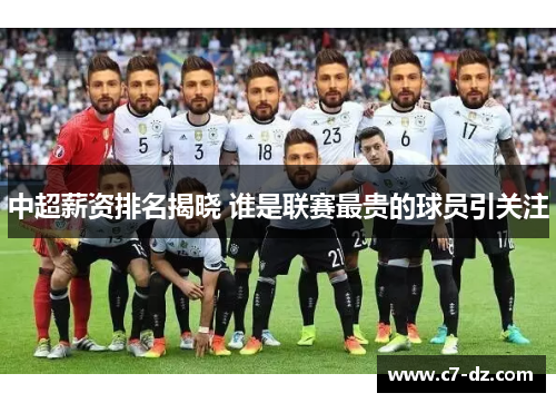 中超薪资排名揭晓 谁是联赛最贵的球员引关注 中超薪资排名揭晓 谁是联赛最贵的球员引关注