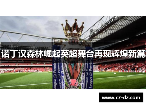 诺丁汉森林崛起英超舞台再现辉煌新篇